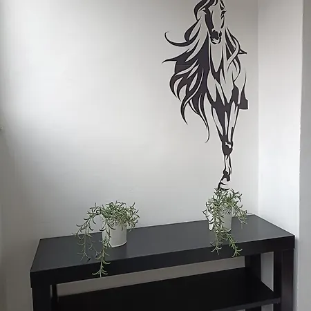 Apartamento Cavallo Apartament Centrum *