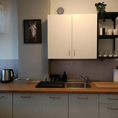 Cavallo Apartament Centrum Apartamento