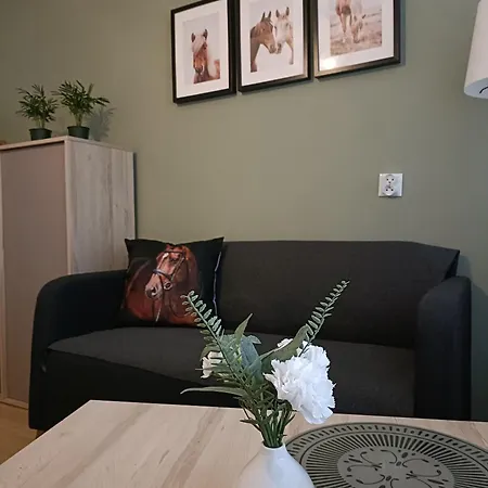 Appartamento Cavallo Apartament Centrum *